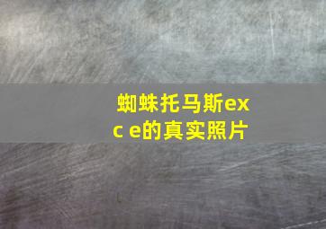 蜘蛛托马斯exc e的真实照片